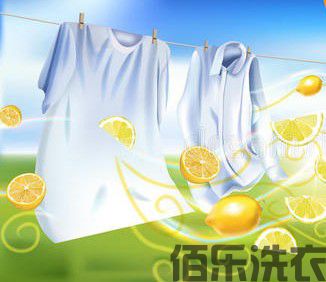 纺织服装的分类大全