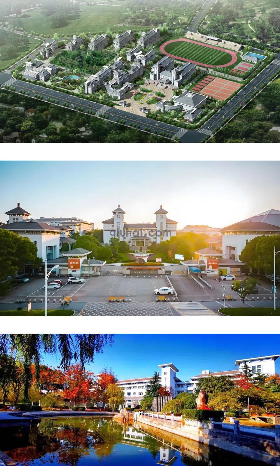 (43) 图片