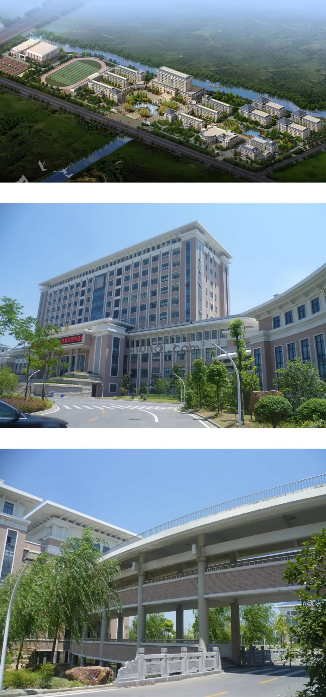 (45) 图片