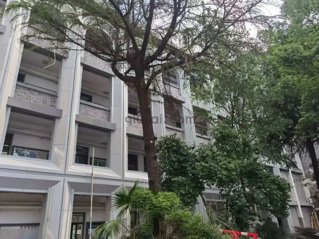 (85) 图片