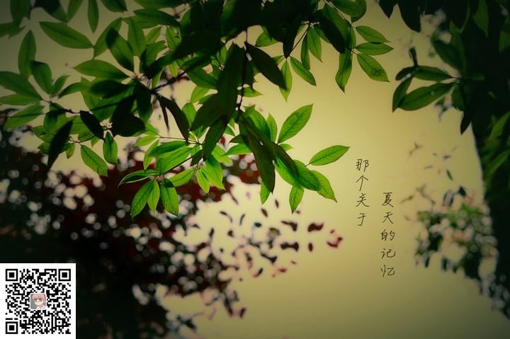 (2)