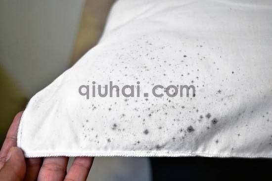 衣服晒干后沾满卫生纸屑,只要1块“刷碗布”,马上恢复“干净”(图7) 衣服晒干后沾满卫生纸屑,只要1块“刷碗布”,马上恢复“干净”(图7)