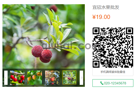 易优显示当前页面二维码插件【eyoucms工具】(2)